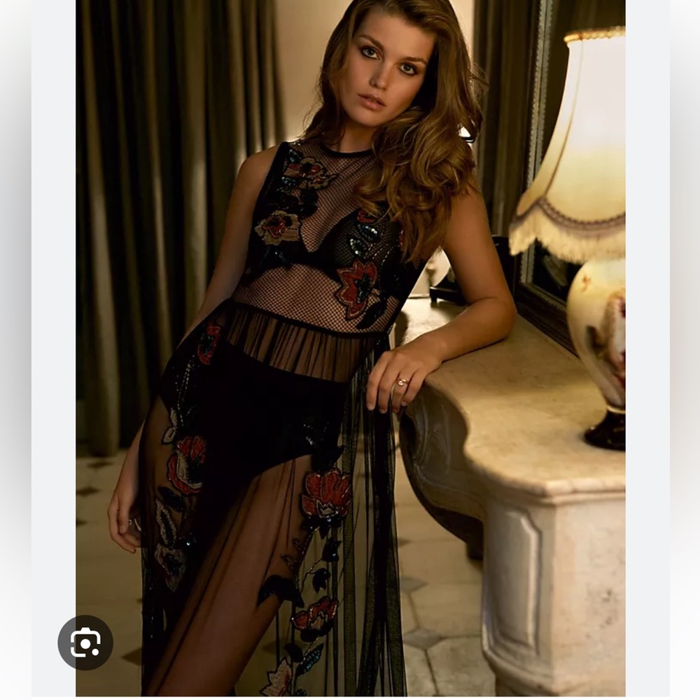 Anthropologie Sheer Mesh Maxi Dress. Embroidered & Beaded.